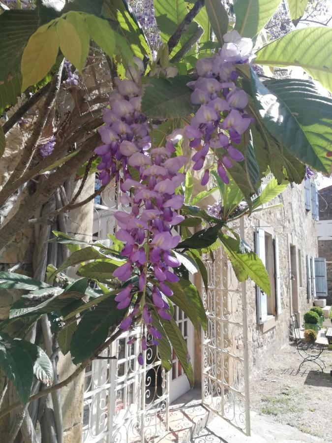 Les 3 Platanes Bed & Breakfast Conilhac-Corbieres Bagian luar foto